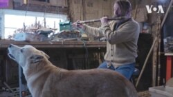 Як побороти депресію? Американський досвід, поради. Відео Як побороти депресію? Американський досвід, поради. Відео