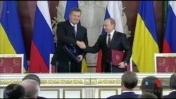 Експерти: доказову базу для суду над Януковичем треба створювати вже. Відео Експерти: доказову базу для суду над Януковичем треба створювати вже. Відео