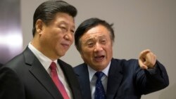 焦点对话:任正非调门转高,美国盟友对华为松口? 焦点对话:任正非调门转高,美国盟友对华为松口?