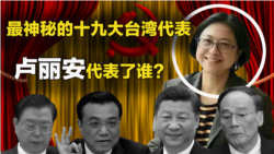 海峡论谈:最神秘的十九大台湾代表--卢丽安代表了谁? 海峡论谈:最神秘的十九大台湾代表--卢丽安代表了谁?