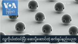 လူ့ကိုယ်ထဲ ဝင်ပြီး ဆေးပို့ဆောင်တဲ့ စက်ရုပ်နည်းပညာ "ထူးခြားဆန်းပြားသတင်းများ" လူ့ကိုယ်ထဲ ဝင်ပြီး ဆေးပို့ဆောင်တဲ့ စက်ရုပ်နည်းပညာ "ထူးခြားဆန်းပြားသတင်းများ"