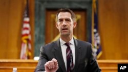 资料照:共和党联邦参议员科顿(Sen. Tom Cotton, R-AR)2020年5月5日出席参议院情报委员会听证会。