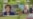 16x9 Image