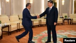 中国国家主席习近平在北京人大会堂会晤到访的世界卫生组织总干事谭德塞。(2020年1月28日)