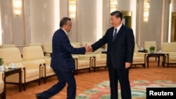 中国国家主席习近平在北京人大会堂会晤到访的世界卫生组织总干事谭德塞。(2020年1月28日)