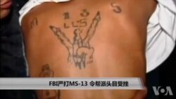 FBI严打MS-13 令帮派头目受挫 FBI严打MS-13 令帮派头目受挫