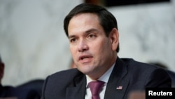 资料照:共和党联邦参议员鲁比奥(Sen. Marco Rubio, R-FL)2019年1月29日出席参议院情报委员会听证会。