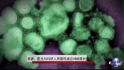 患者、医生与科研人员需迅速应对细菌抗药性 患者、医生与科研人员需迅速应对细菌抗药性