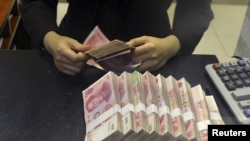中国招商银行安徽合肥的一家支行的员工数算人民币百元钞票。(2015年4月20日)