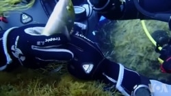 海洋杀手:吞噬一切的“鬼网” 海洋杀手:吞噬一切的“鬼网”
