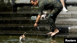 热浪袭击下,一位男士在纽约曼哈顿为爱犬消暑降温。(2016年7月23日)