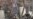 16x9 Image